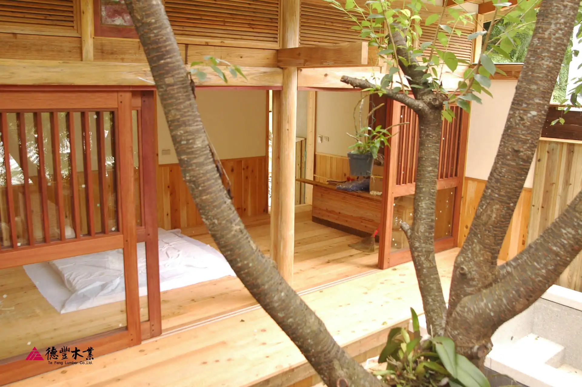 山都可以挖了，难道树木不能砍吗？