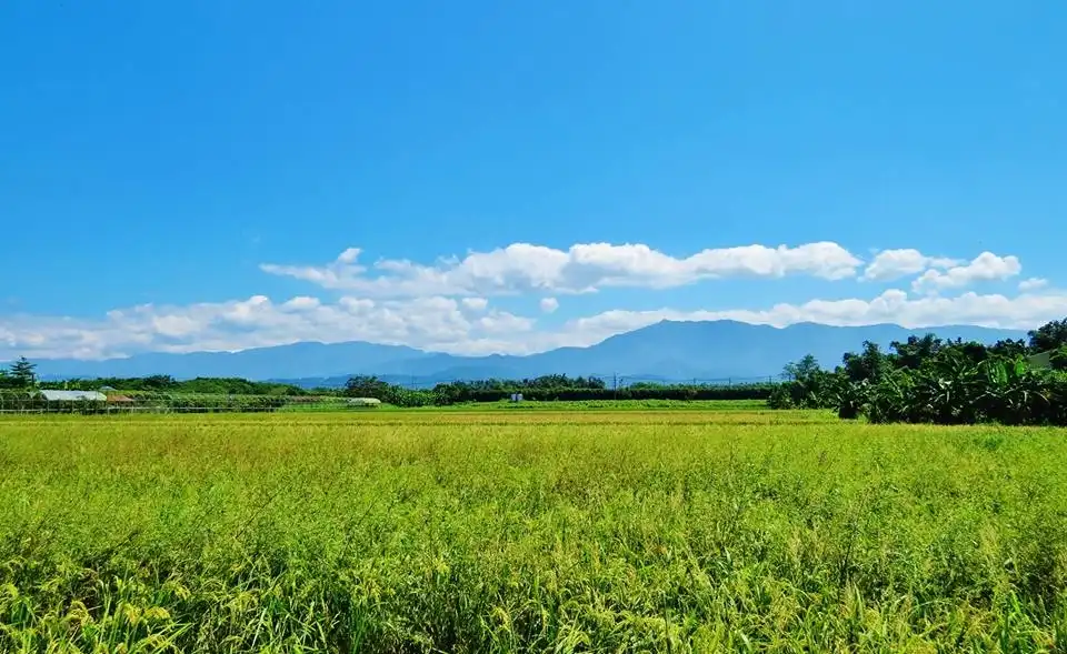 抱团前进中国大陆休闲、有机农业市场