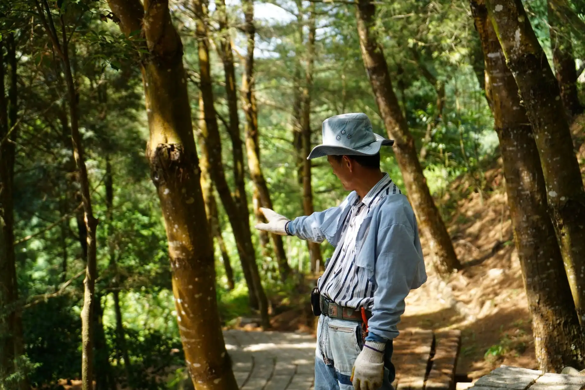 如果我有一片森林，可以卖碳权吗？