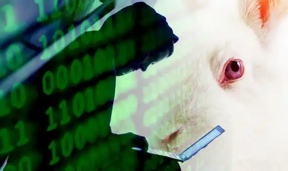 电力市场的权力游戏四：我有一个梦